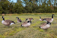 Big Als X14 Bulk Pack Canada Goose Silhouette Decoys